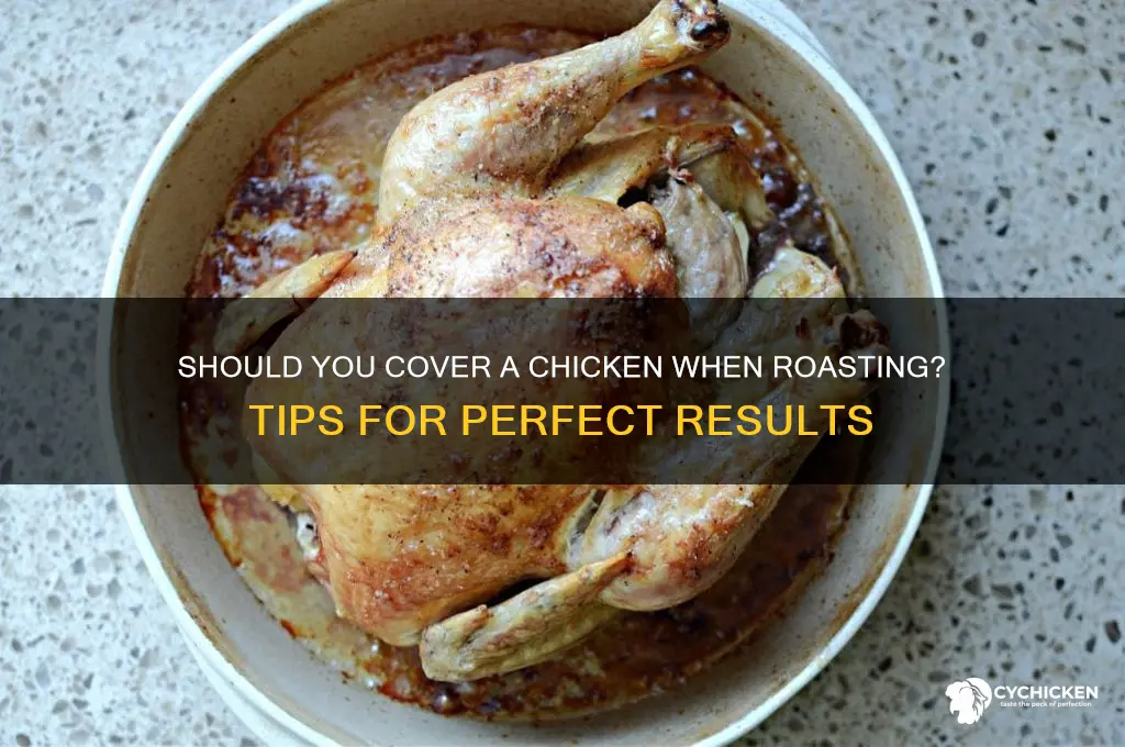 do you need to cover a chicken when roasting