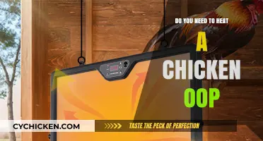 Should You Heat Your Chicken Coop? Essential Tips for Happy Hens