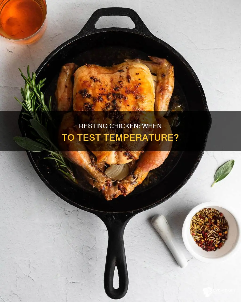 do you need to let chicken rest before testing temperature