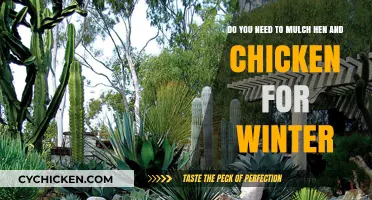 How to Prepare Your Hen and Chick for Winter