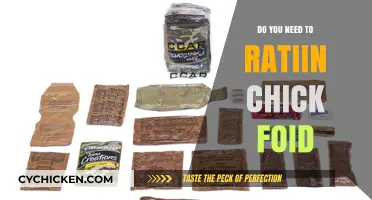Should You Ration Chick Food? Tips for Optimal Feeding Practices