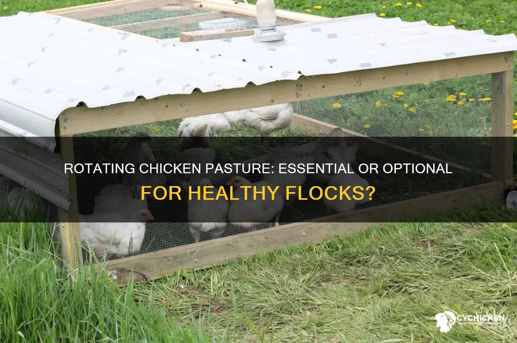 do you need to rotate chicken 0asture