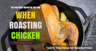 Roasting Chicken: Water in the Pan - Necessary or Not?