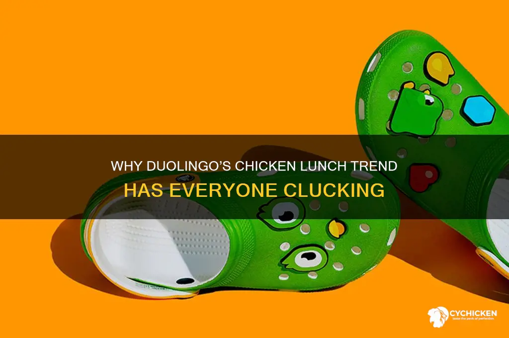 do you often have chicken for lunch duolingo