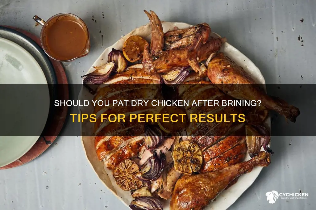 do you pat dry chicken after brining