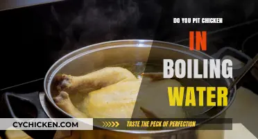 Should You Pit Chicken in Boiling Water? A Cooking Myth Debunked