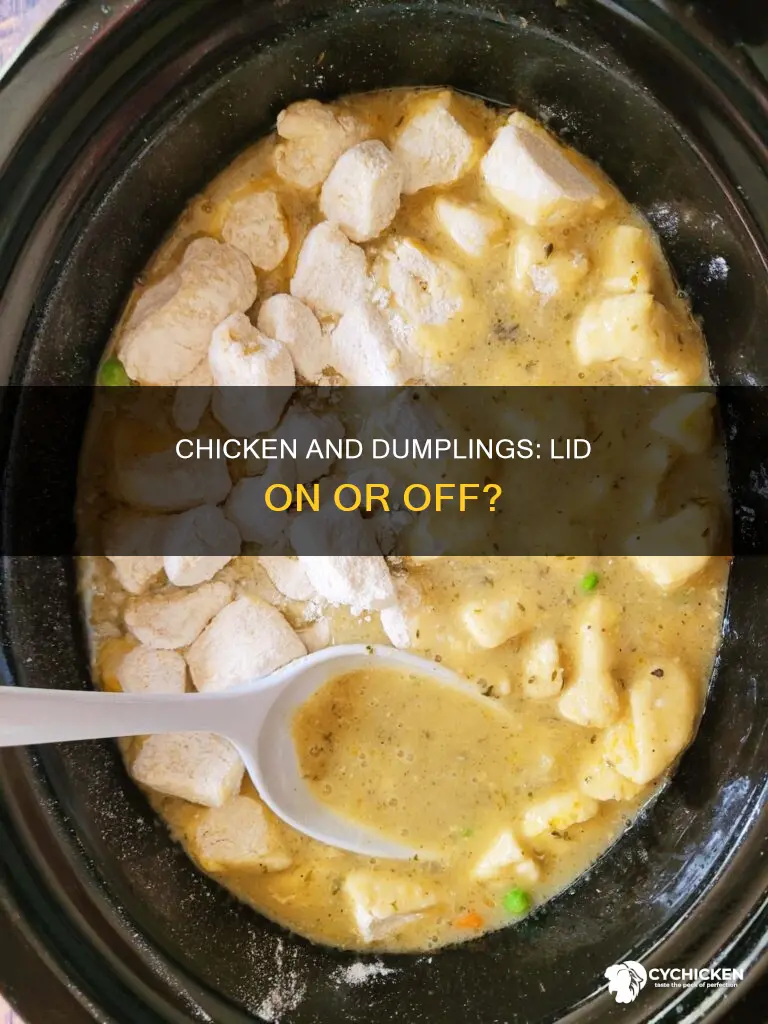 do you put a lid on chicken and dumplings