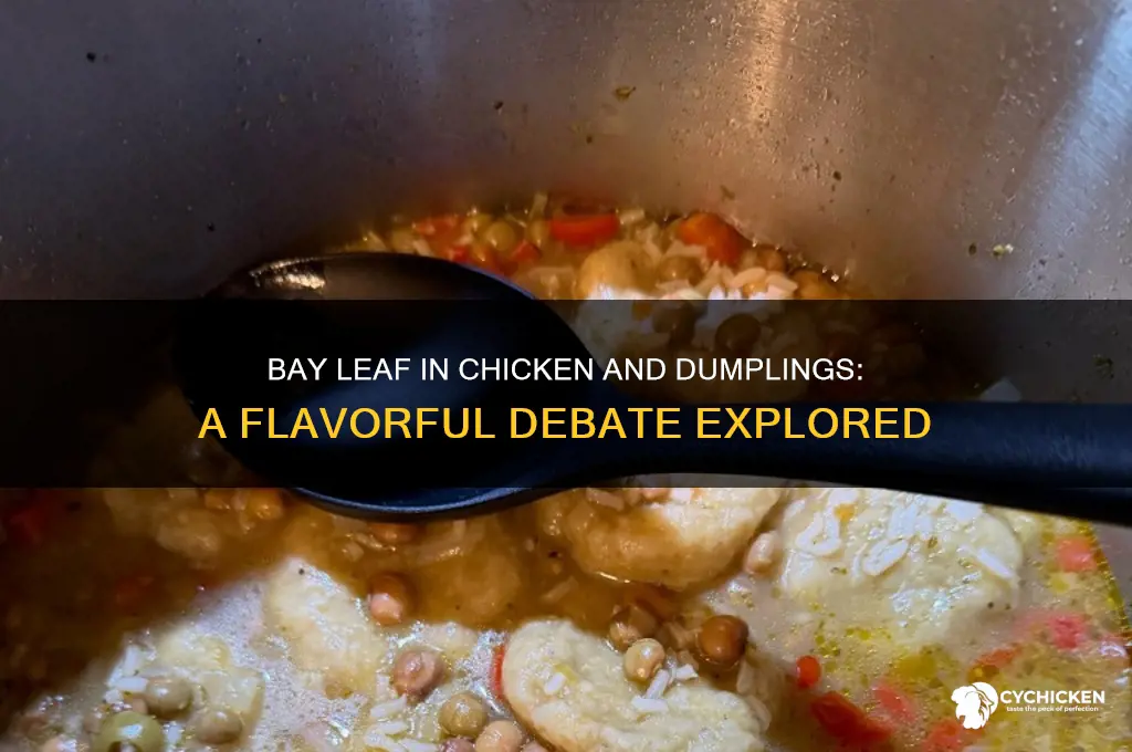 do you put bayleaf in chicken and dumplings