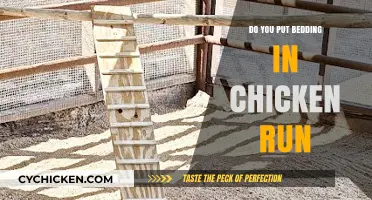 Should You Add Bedding to Your Chicken Run? Pros and Cons