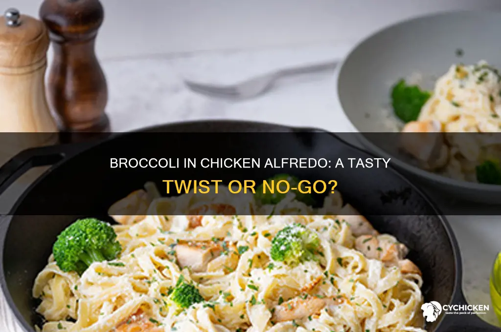 do you put broccoli in chicken alfredo