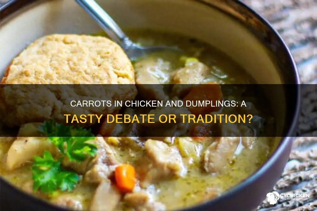 do you put carrots in chicken and dumplings