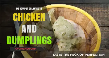 Cilantro in Chicken and Dumplings: A Flavorful Twist or No-Go?
