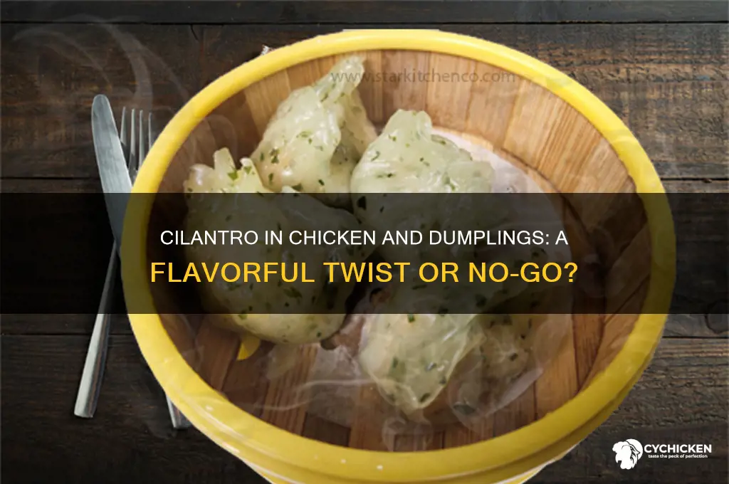 do you put celantro in chicken and dumplings