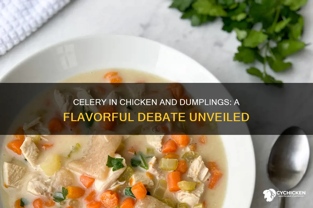 do you put celery in chicken and dumplings