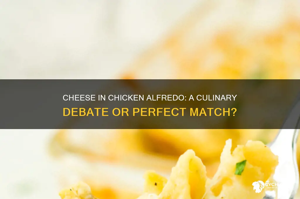 do you put cheese in chicken alfredo