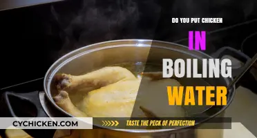 Should You Put Chicken in Boiling Water? Cooking Tips Revealed