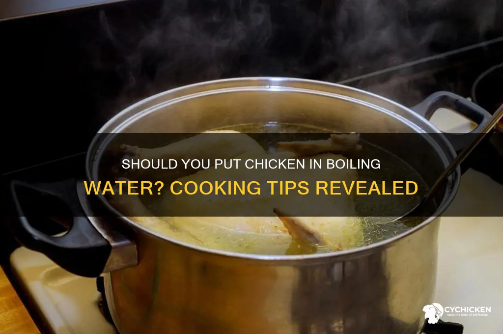 do you put chicken in boiling water
