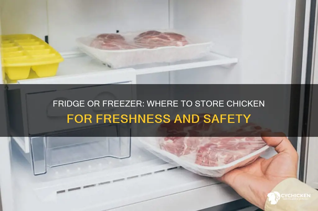 do you put chicken in fridge or freezer