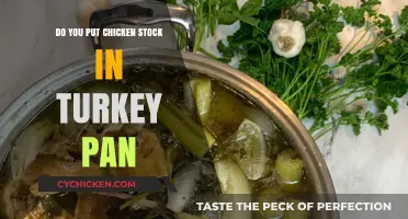 Enhance Your Turkey: Using Chicken Stock in the Roasting Pan