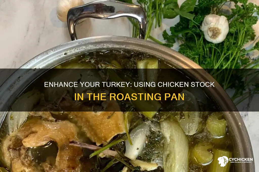 do you put chicken stock in turkey pan