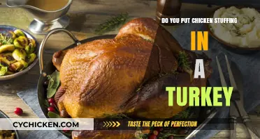 Should You Stuff Turkey with Chicken Stuffing? Tips and Tricks