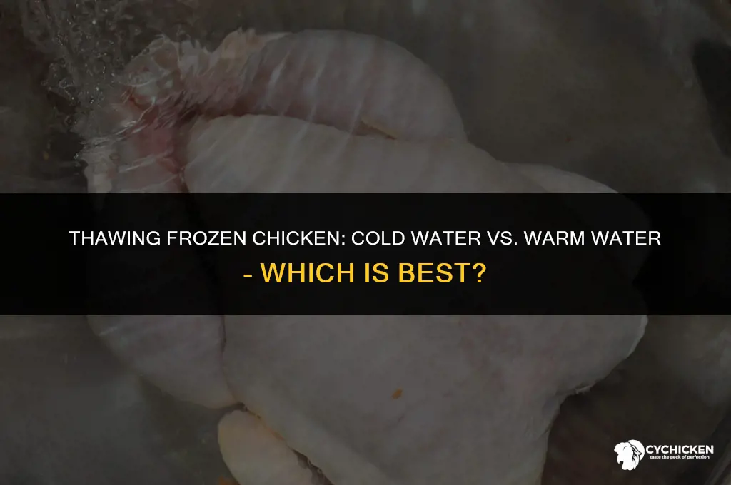 do you put frozen chicken in warm or cold water