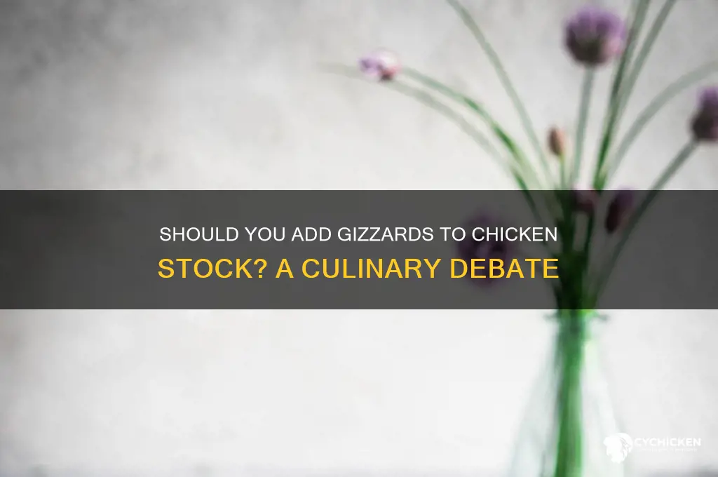 do you put gizzards in chicken stock