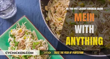 Creative Chow Mein: Exploring La Choy's Chicken Options