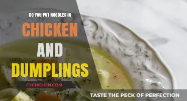 Noodles in Chicken and Dumplings: A Culinary Debate Explored