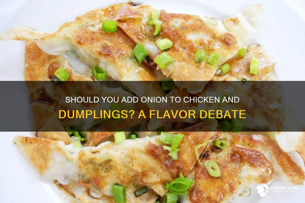 do you put onion in chicken and dumplings