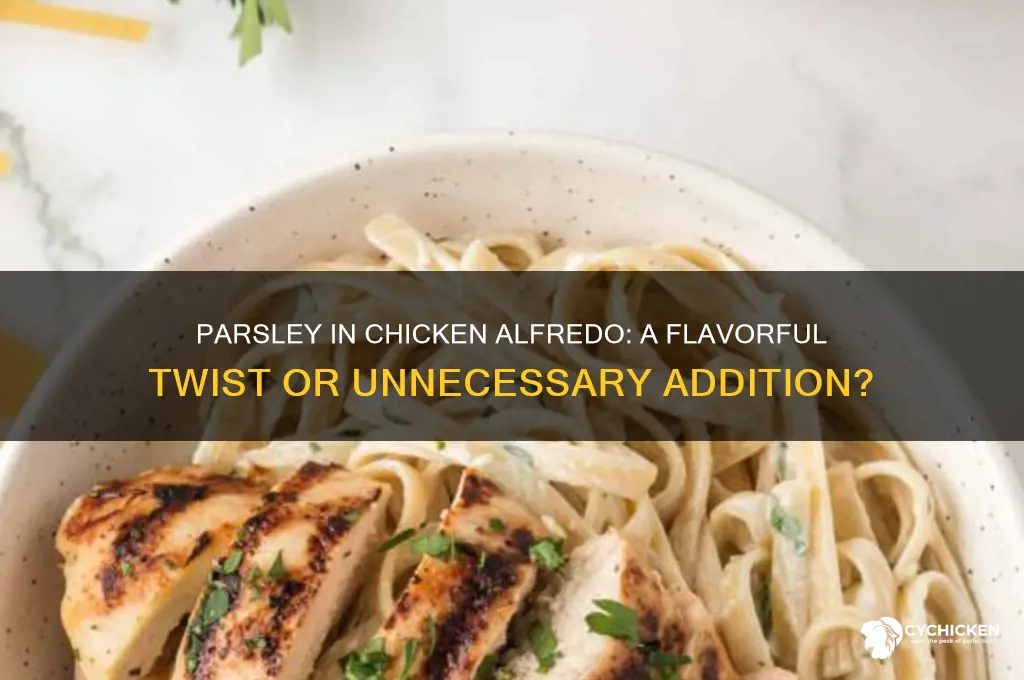 do you put parsley in chicken alfredo