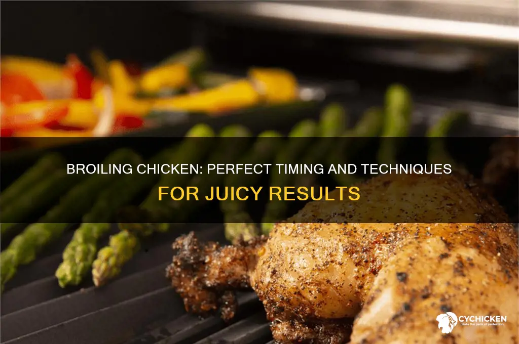do you put the chicken to broil