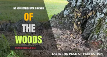 Should You Refrigerate Chicken of the Woods? Storage Tips Revealed