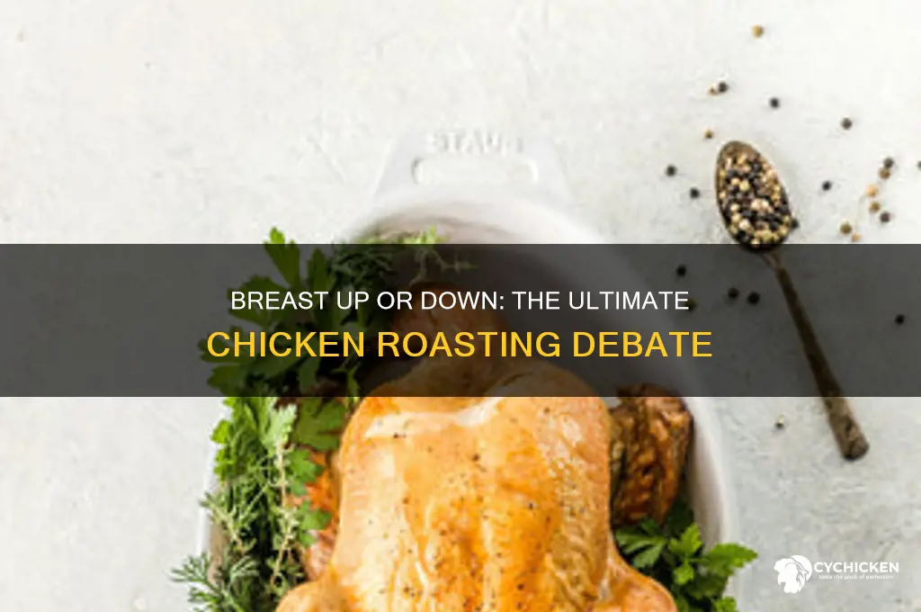 do you roast a chicken breast down or up