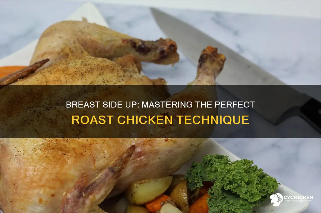 do you roast a chicken breast side up