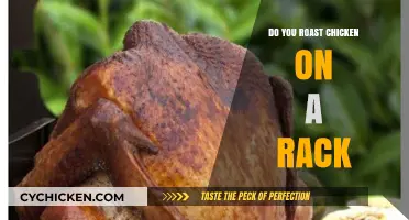 Roasting Chicken on a Rack: Tips for Perfectly Crispy Skin