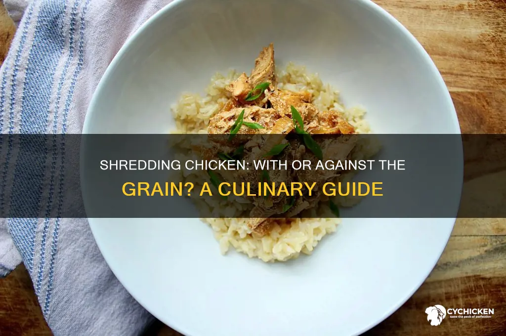 do you shred chicken with the grain