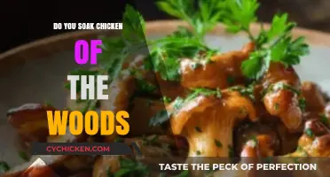 Should You Soak Chicken of the Woods? Tips for Perfect Preparation