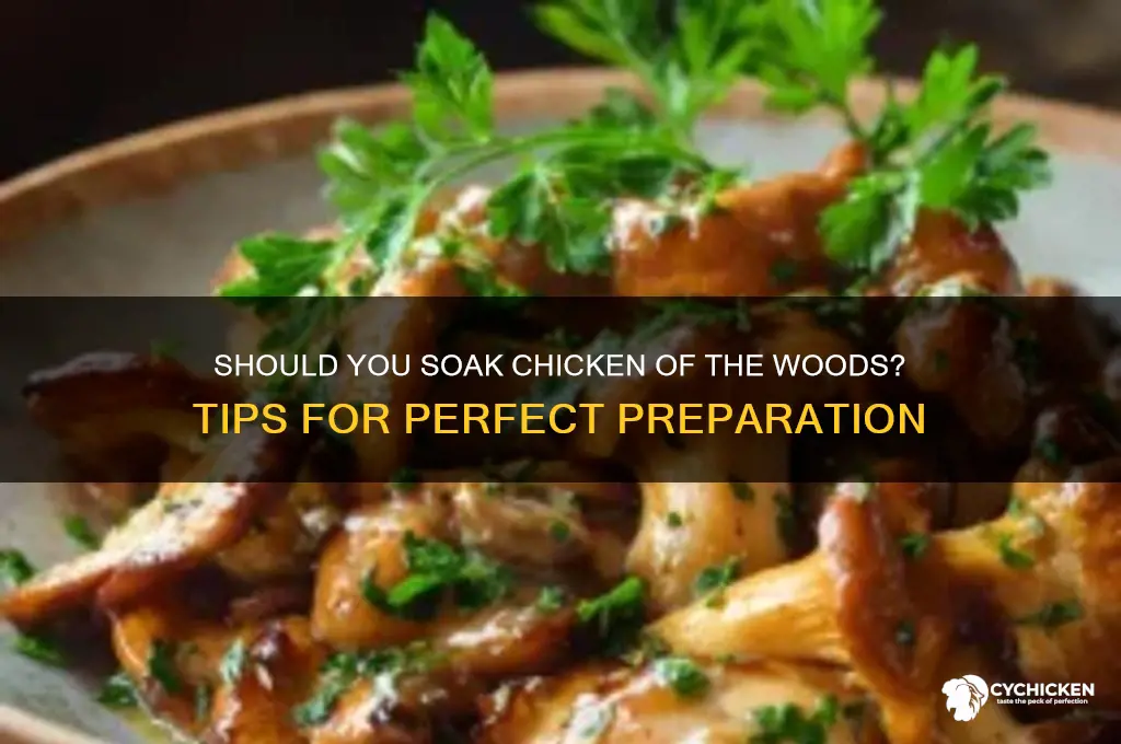 do you soak chicken of the woods