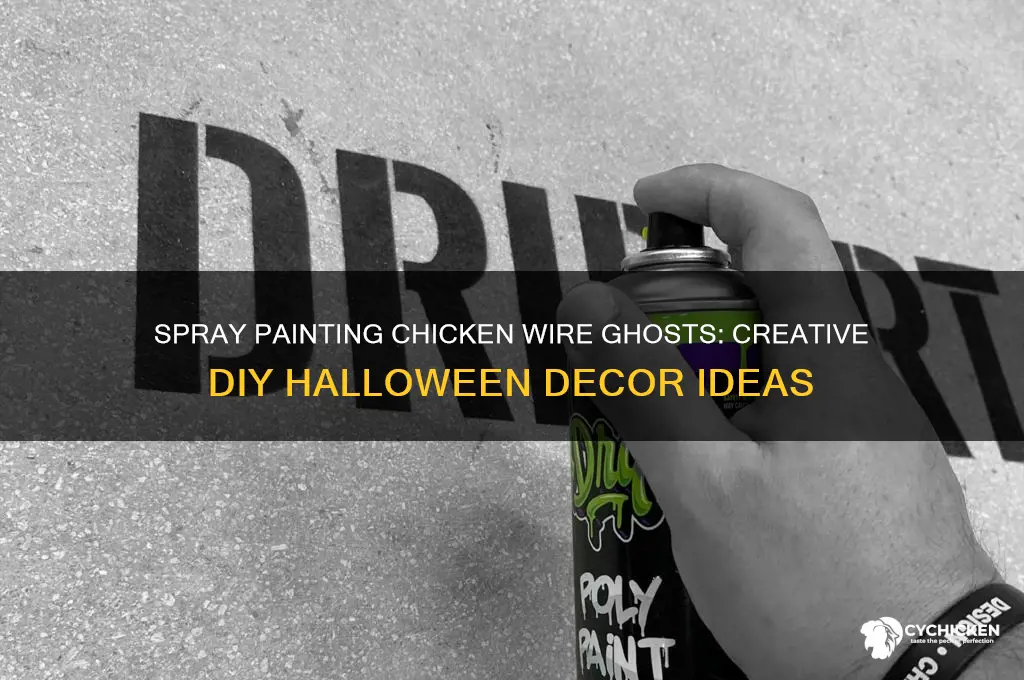 do you spray paint chicken wire ghost