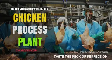 Working at a Chicken Plant: Do You Stink?