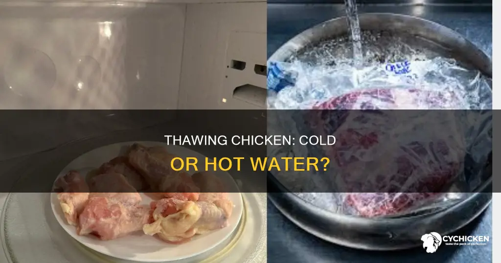 do you thaw chicken in cold or hot water