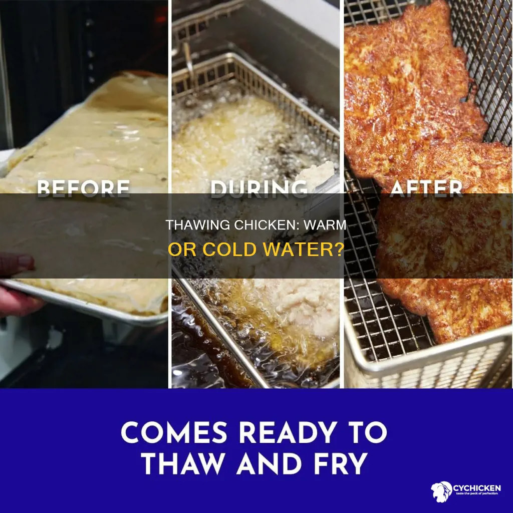 do you thaw chicken in warm or cold water