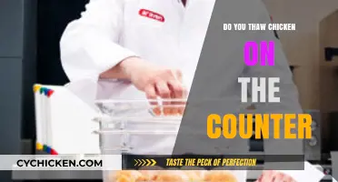 Thawing Chicken Safely: Countertop Risks and Best Practices Explained