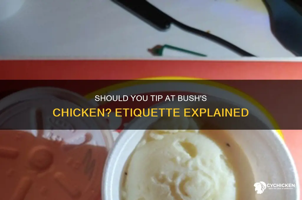 do you tip at bush