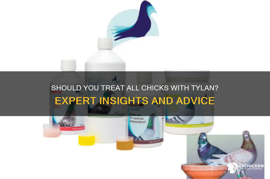 do you treat all chicks with tylan