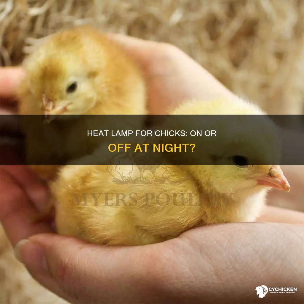 do you turn off heat lamp at night for chicks