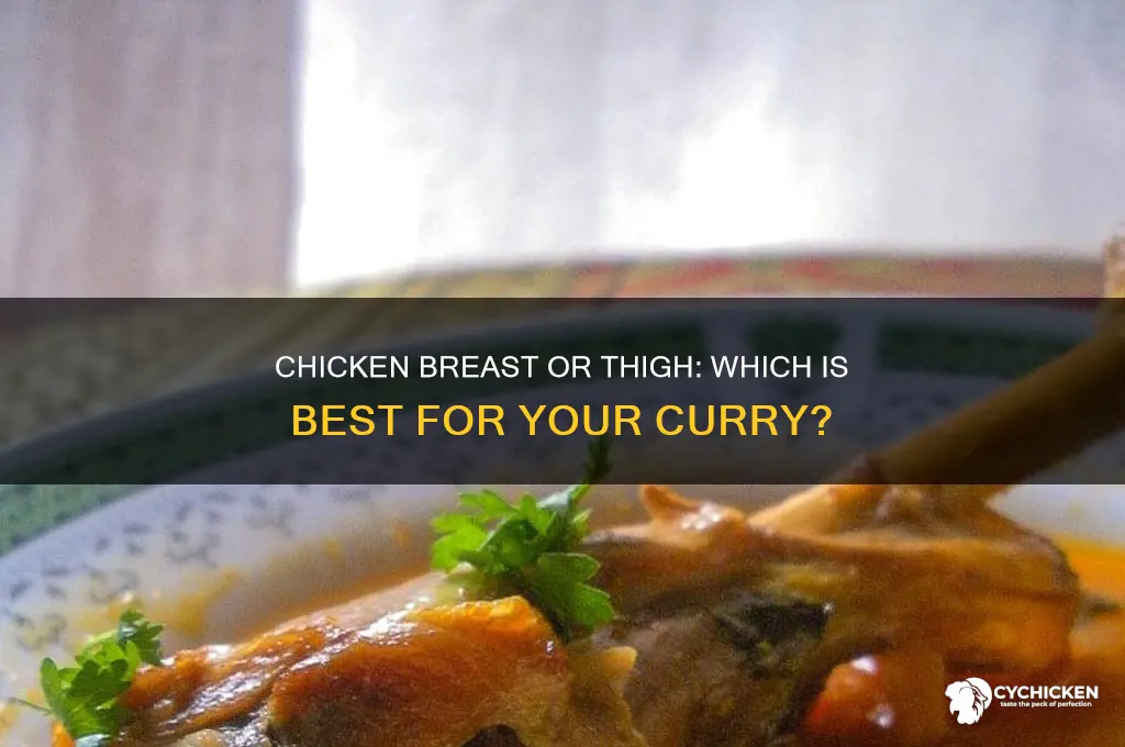 do you use chicken breast or thigh in a curry