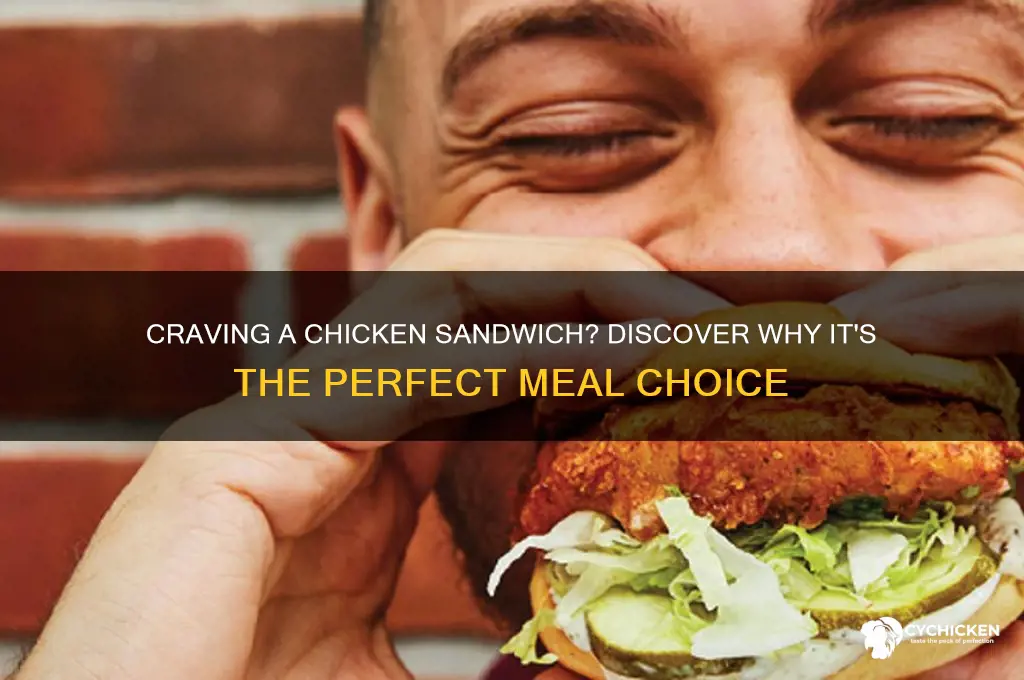 do you want a chicken sandwich