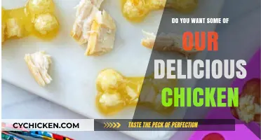 Savor Our Mouthwatering Chicken: A Delicious Treat You'll Love